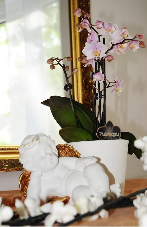***  Hotel Blankenese Hambourg Allemagne